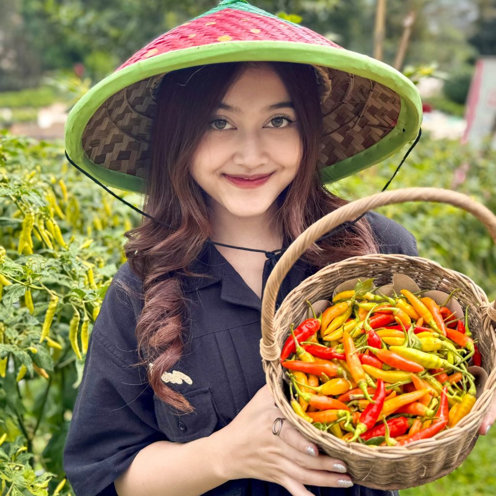 Harvest Veggie