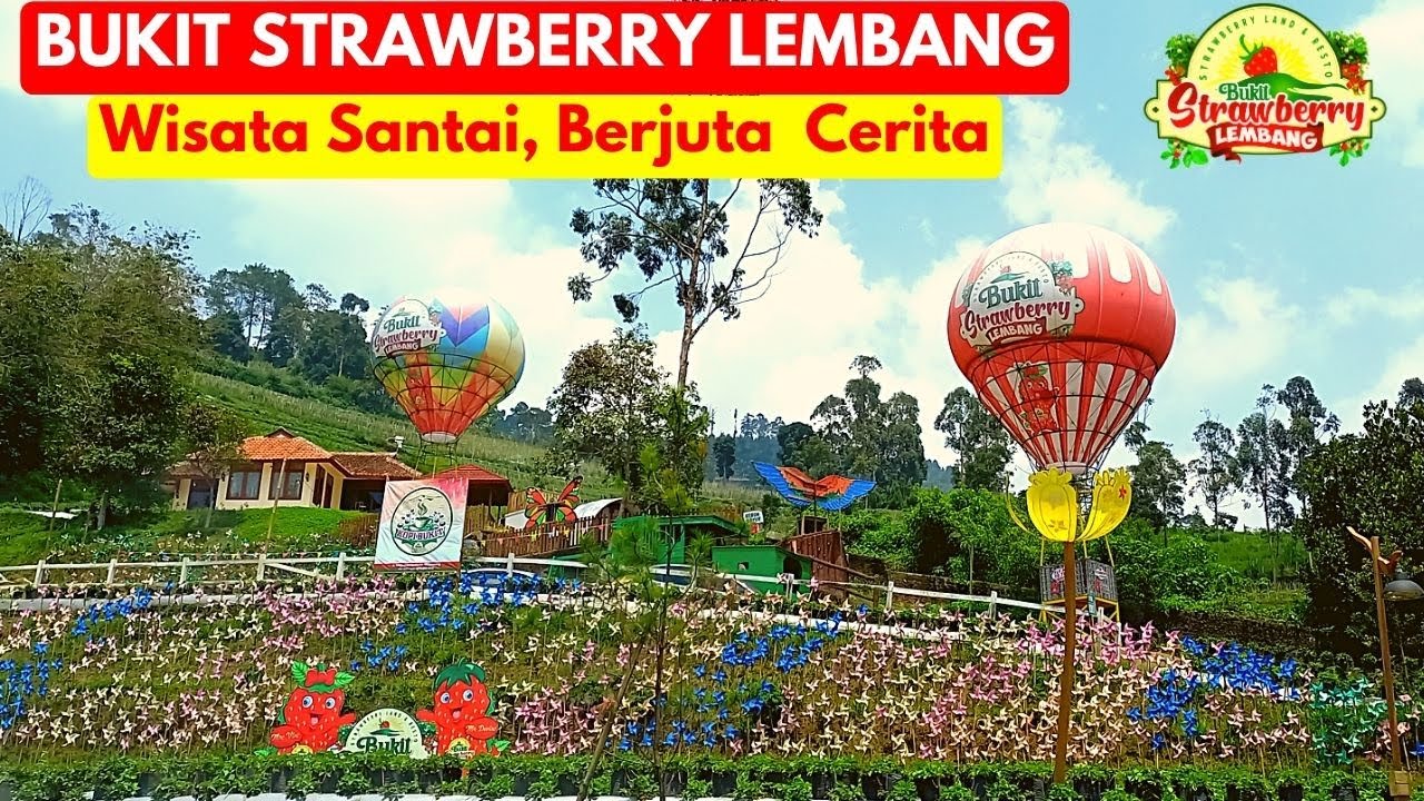 bukit strawberry lembang