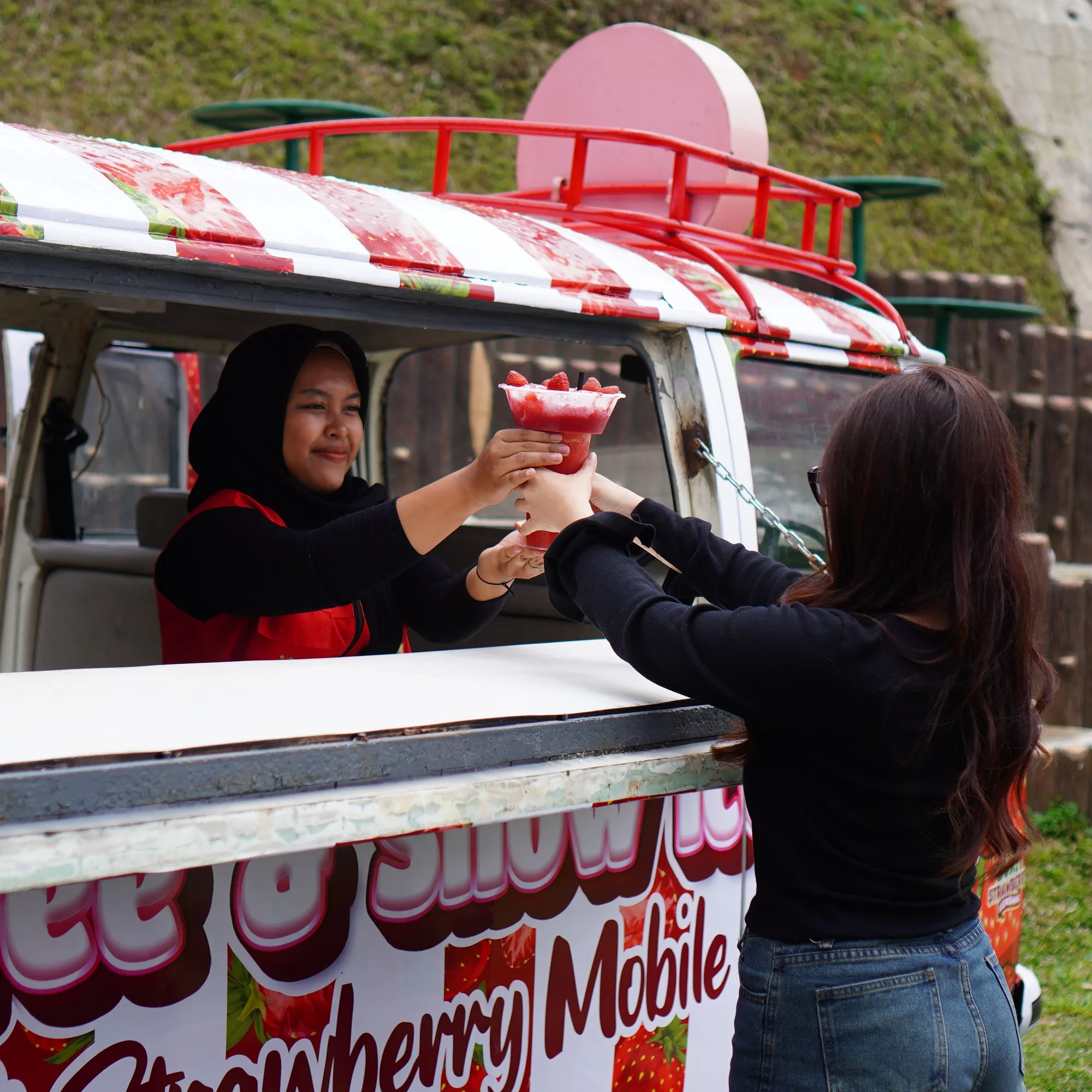 berry mobile