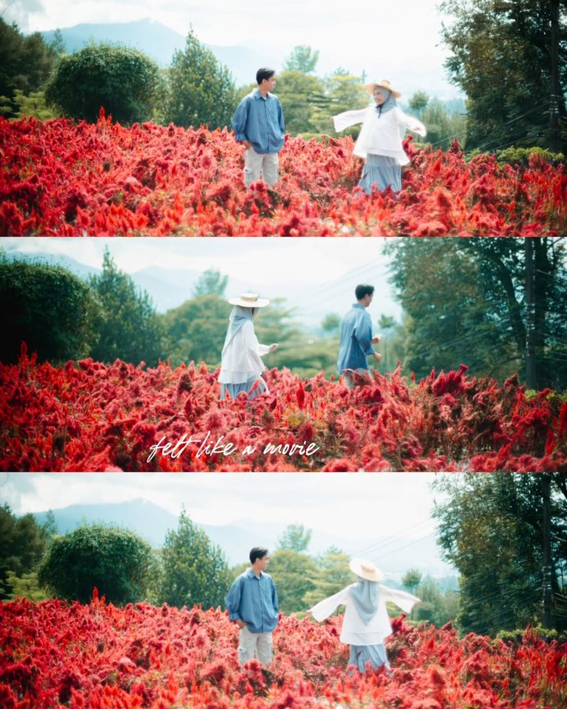 618405522_18515332810069594_1353999833999347355_n