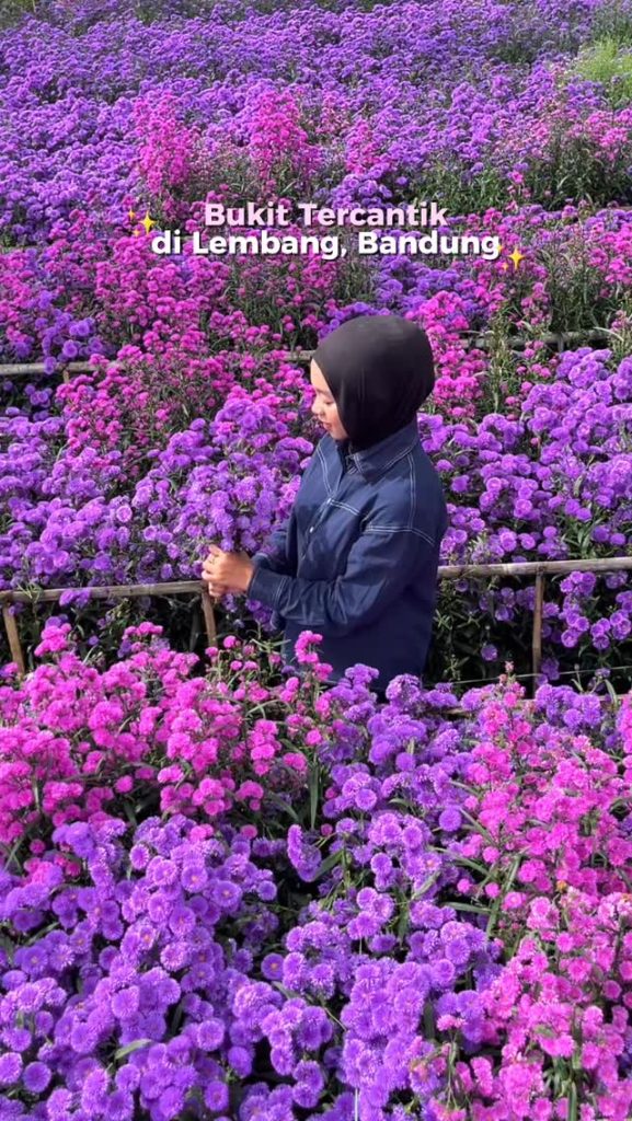 625657640_946595948048111_1646595932225700218_n