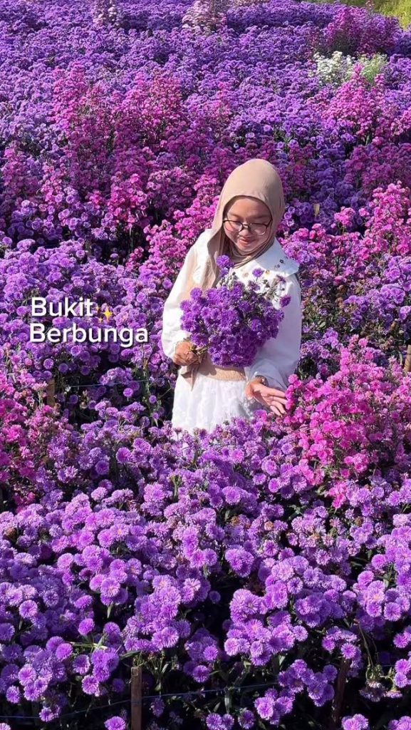 imgi_54_627997315_2151332141939525_7527256606359768082_n